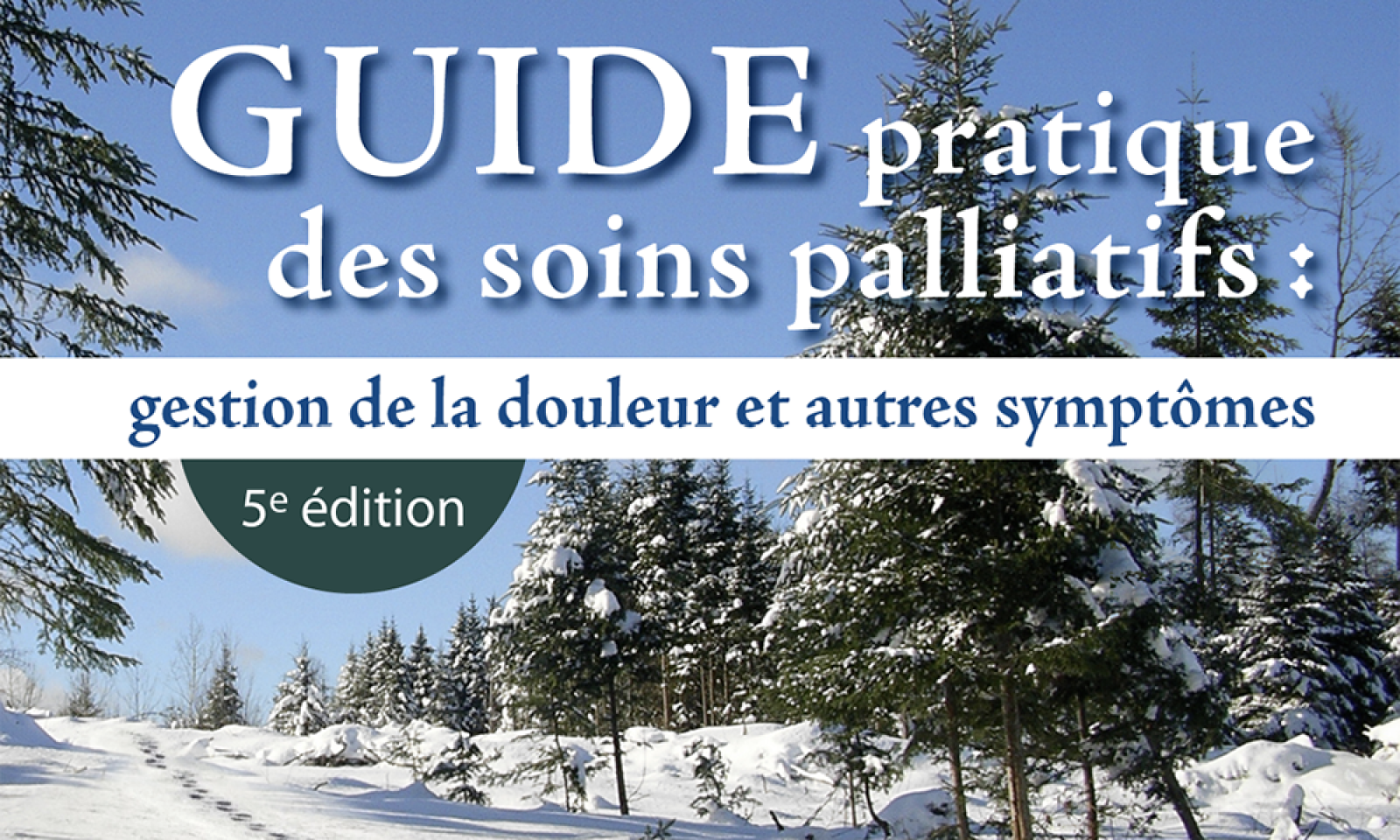 https://www.apesquebec.org/system/files/styles/media_block/private/Couverture%20-%20Guide%20pratique%20des%20soins%20palliatifs?itok=4rffUMJi